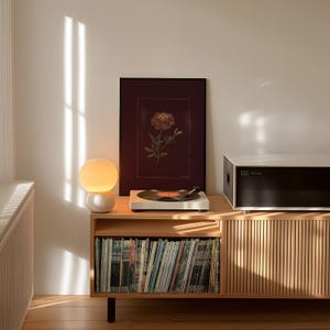 May include: A mid-century modern style wooden cabinet with a record player, a framed floral print, and a spherical lamp. The cabinet has a slatted door and holds a collection of vinyl records. The lamp emits a warm, soft glow.