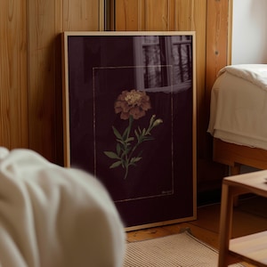May include: A framed botanical print featuring a marigold flower with a dark burgundy background. The marigold is a mix of orange and yellow, with green leaves and stems. The frame is a light wood color.