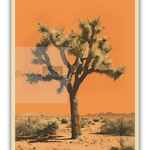 May include: A single Joshua tree stands tall in a desert landscape. The tree has a thick trunk and many branches with green needles. The background is a bright orange color.