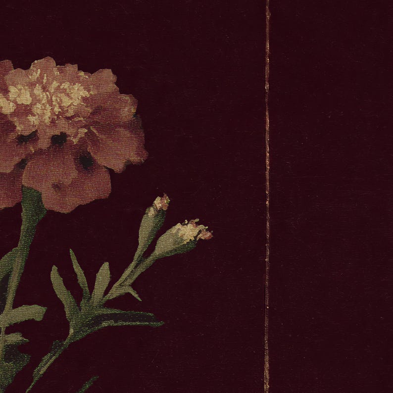 May include: A close-up of a marigold flower with a burgundy background. The flower is a mix of peach and light brown, with green leaves and buds. A thin gold line runs vertically down the right side of the image.