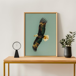 Pu&ograve; includere: Una stampa incorniciata di un'aquila calva in volo, su uno sfondo verde acqua chiaro. Le ali dell'aquila sono spiegate, mostrando piume marroni, bianche e dorate. La stampa &egrave; in una cornice di legno, su un tavolo di legno.