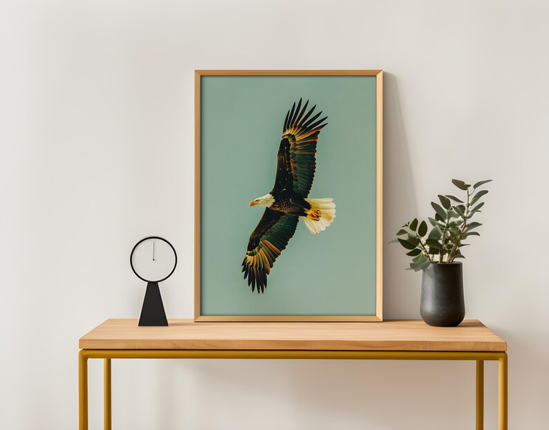 Pu&ograve; includere: Una stampa incorniciata di un'aquila calva in volo, su uno sfondo verde acqua chiaro. Le ali dell'aquila sono spiegate, mostrando piume marroni, bianche e dorate. La stampa &egrave; in una cornice di legno, su un tavolo di legno.