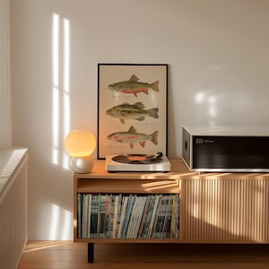 Puede incluir: Un mueble de madera con una colecci&oacute;n de discos de vinilo, una impresi&oacute;n enmarcada de peces y un tocadiscos blanco. Una l&aacute;mpara redonda, blanca y amarilla se encuentra sobre el mueble. Un equipo de m&uacute;sica en blanco y negro est&aacute; a la derecha.