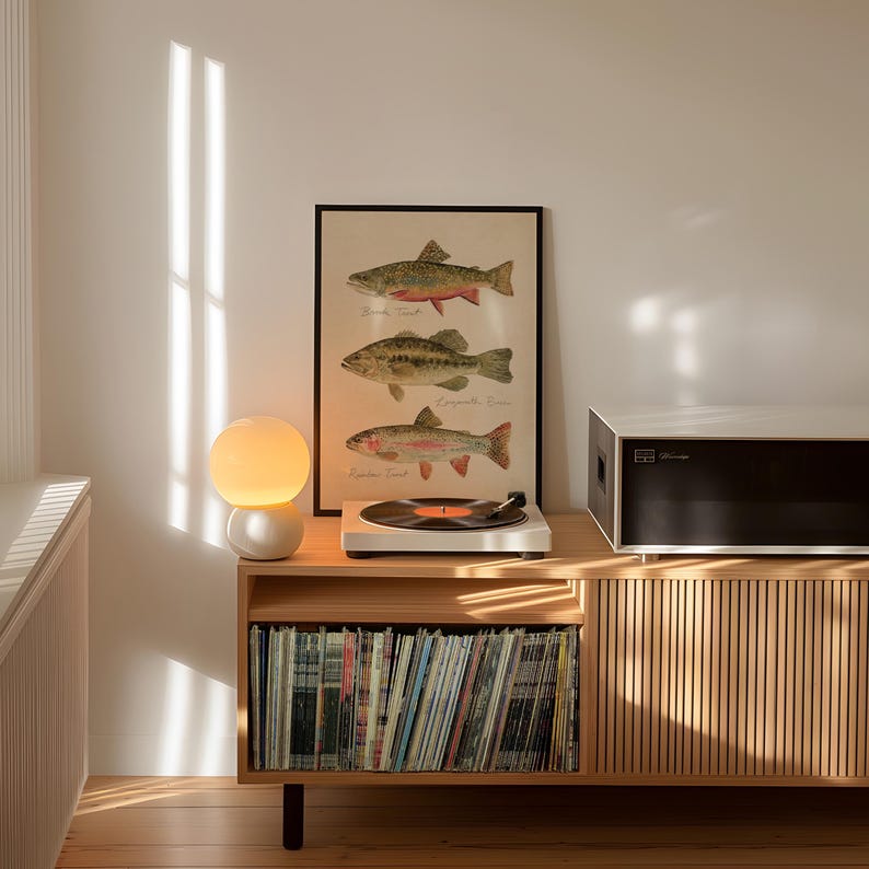 Puede incluir: Un mueble de madera con una colecci&oacute;n de discos de vinilo, una impresi&oacute;n enmarcada de peces y un tocadiscos blanco. Una l&aacute;mpara redonda, blanca y amarilla se encuentra sobre el mueble. Un equipo de m&uacute;sica en blanco y negro est&aacute; a la derecha.