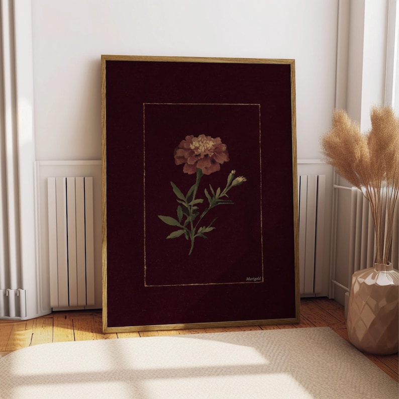 May include: A framed botanical print featuring a marigold flower with a burgundy background and a gold frame. The flower is a mix of orange and yellow, with green leaves and stems. The print is displayed on a wooden floor.