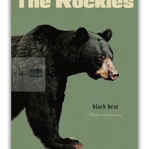Pode incluir: Um p&ocirc;ster de estilo vintage com o texto "The Rockies" em fonte amarela. O p&ocirc;ster apresenta uma ilustra&ccedil;&atilde;o de um urso preto com o texto "black bear" e "Ursus americanus" abaixo do urso.