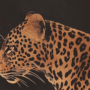 May include: A close-up of a leopard's face, with its fur patterned in black spots on a brown background. The leopard's eye is visible, and its whiskers are prominent.