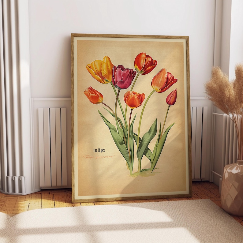 Może przedstawiać: Winietkowa ilustracja botaniczna tulipan&oacute;w z czerwonymi, pomarańczowymi i ż&oacute;łtymi kwiatami. Druk zawiera tekst "tulips" i "Tulipa gesneriana".