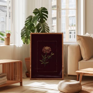 May include: A framed botanical print featuring a marigold flower with green leaves and a stem, set against a dark burgundy background. The print is enclosed in a wooden frame, creating a vintage aesthetic. The artwork is displayed in a well-lit living room setting.