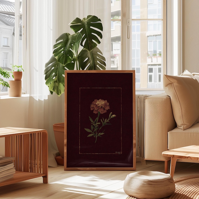May include: A framed botanical print featuring a marigold flower with green leaves and a stem, set against a dark burgundy background. The print is enclosed in a wooden frame, creating a vintage aesthetic. The artwork is displayed in a well-lit living room setting.