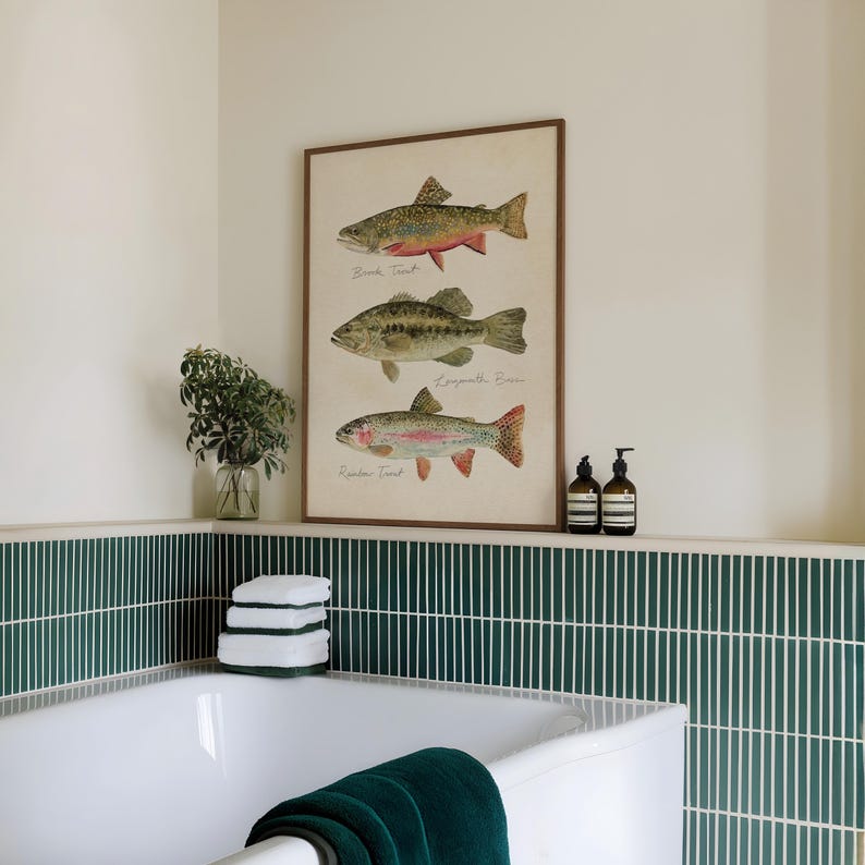 Puede incluir: Un cuadro enmarcado con ilustraciones de tres peces: trucha de arroyo, lubina y trucha arco&iacute;ris. La obra de arte tiene una est&eacute;tica vintage. El cuadro se exhibe en un ba&ntilde;o, encima de una ba&ntilde;era blanca con detalles de azulejos verdes.