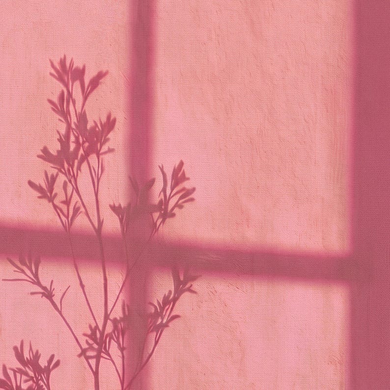 May include: A pink fabric curtain with a window frame shadow and a dark silhouette of a leafy plant branch cast across the surface. The light creates a soft, textured appearance on the material, highlighting the vertical and horizontal lines.