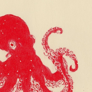 May include: Red octopus illustration on a cream background. The octopus is depicted in a detailed, artistic style, with visible suckers on its tentacles. The image is a close-up, focusing on the creature's head and tentacles, with a textured appearance.