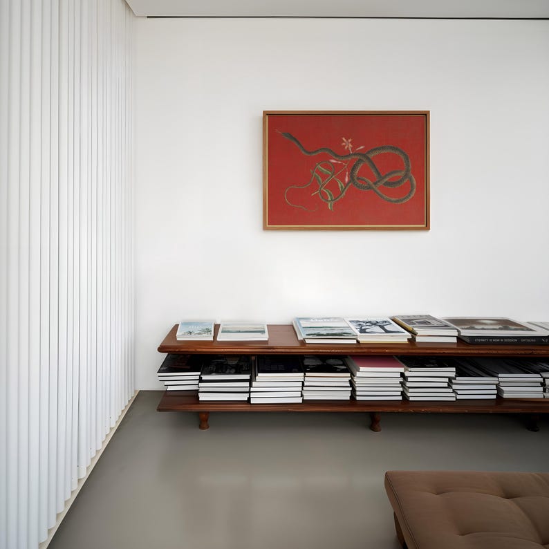 May include: A wooden bookshelf with two shelves filled with books. The bookshelf is in a room with white walls and a framed painting of a snake on a red background.