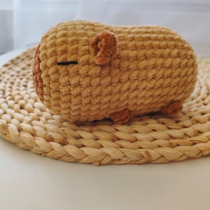 Capibara-haakpatroon, niet genaaid, slaperig capibara-amigurumipatroon, eenvoudig capibara-amigurumipatroon, haaktutorial capibara-pluche