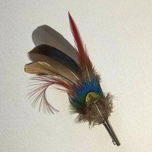 Könnte beinhalten: Eine Federbrosche mit einem Pfauenaugen-Design. Die Brosche besteht aus Federn in den Farben Braun, Rot, Blau und Grün. Die Federn sind fächerförmig angeordnet und an einer silbernen Metallnadel befestigt.