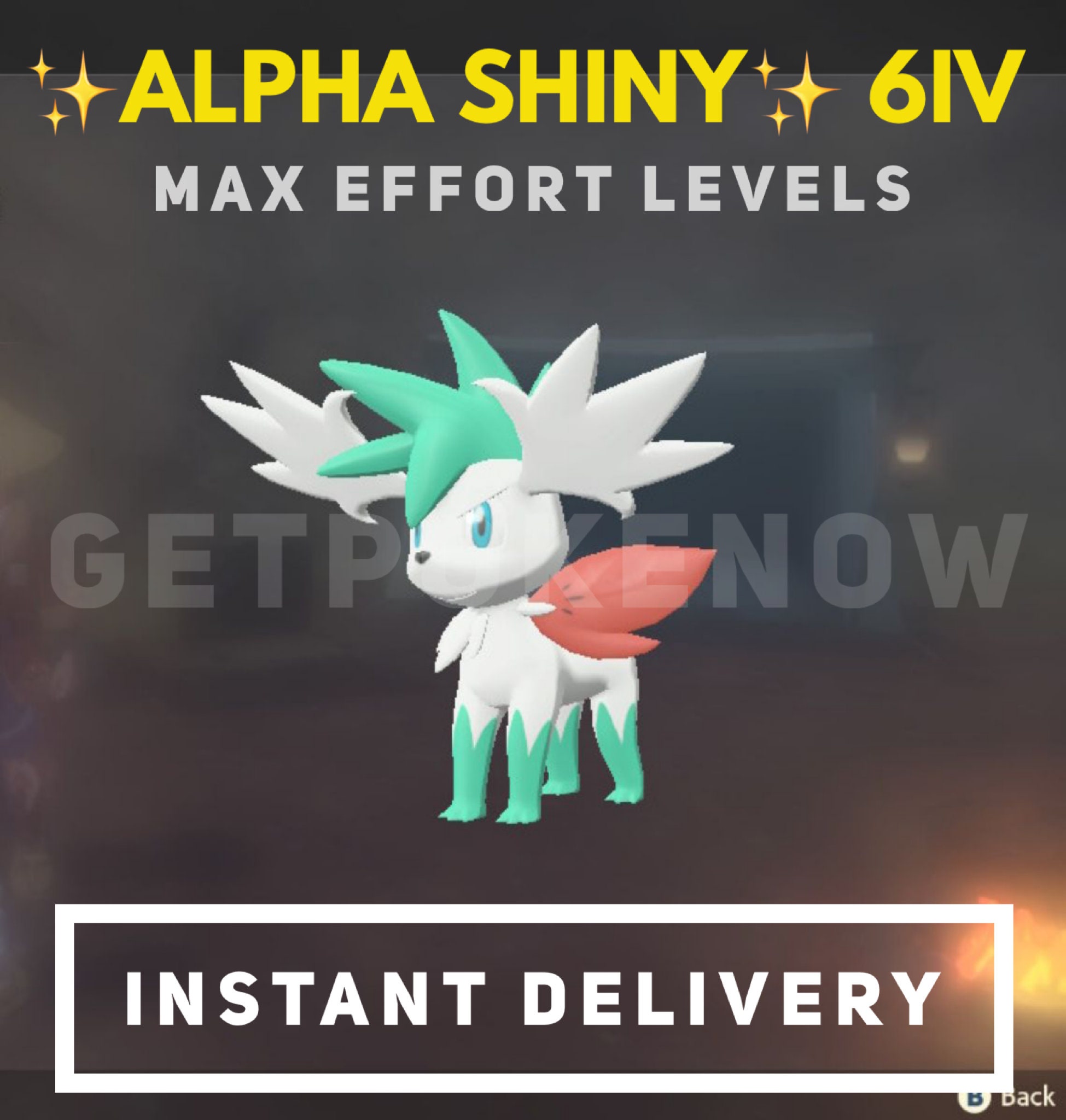 Enamorus Shiny ✨ - Pokemon Leggende Arceus - Statistiche MAX, Leggendario Totem - Nintendo Switch