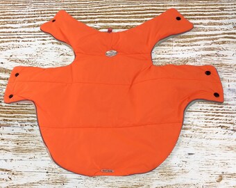 Safe on the road - a sweatshirt for a dog, cat