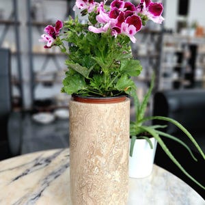 May include: A tall, beige, textured planter with a vibrant geranium plant. The geranium features green leaves and clusters of pink and deep magenta flowers. A small aloe vera plant in a white pot is in the background.
