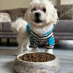 Natural dark bronze-silver, travertine bowl for dog feeding, bowl for fruit-vegatable serving or home decoration, round travertine bowl