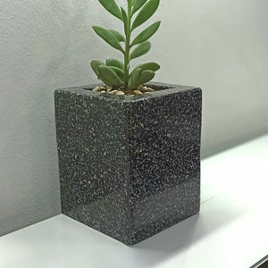 Puede incluir: Una pequeña planta suculenta verde en una maceta cuadrada negra con textura moteada. La maceta está sobre una superficie blanca.