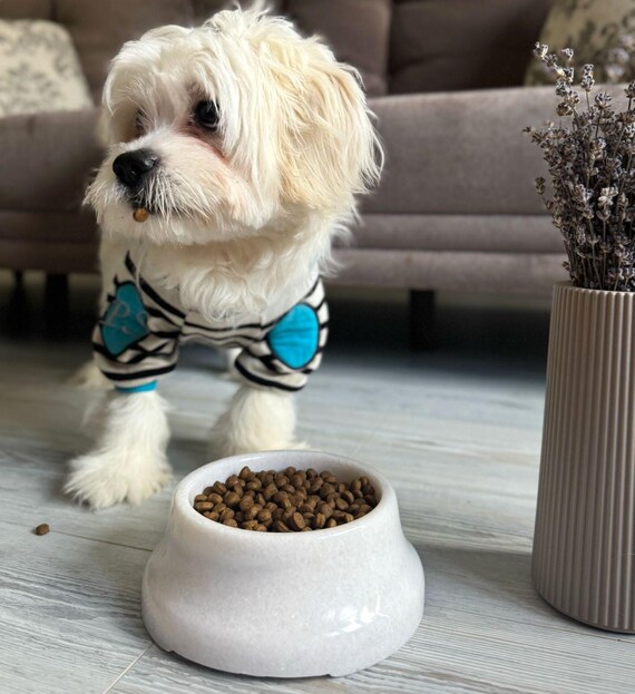 rtter hundefutter Trainingsknchelchen Insekt  Martin Rtter SHOP