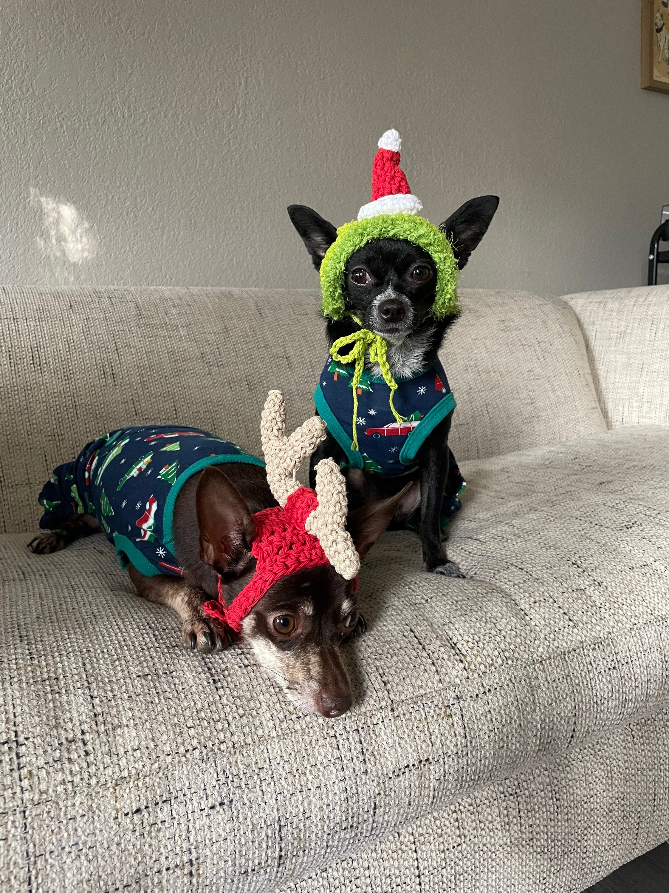 grinch hat for dogs