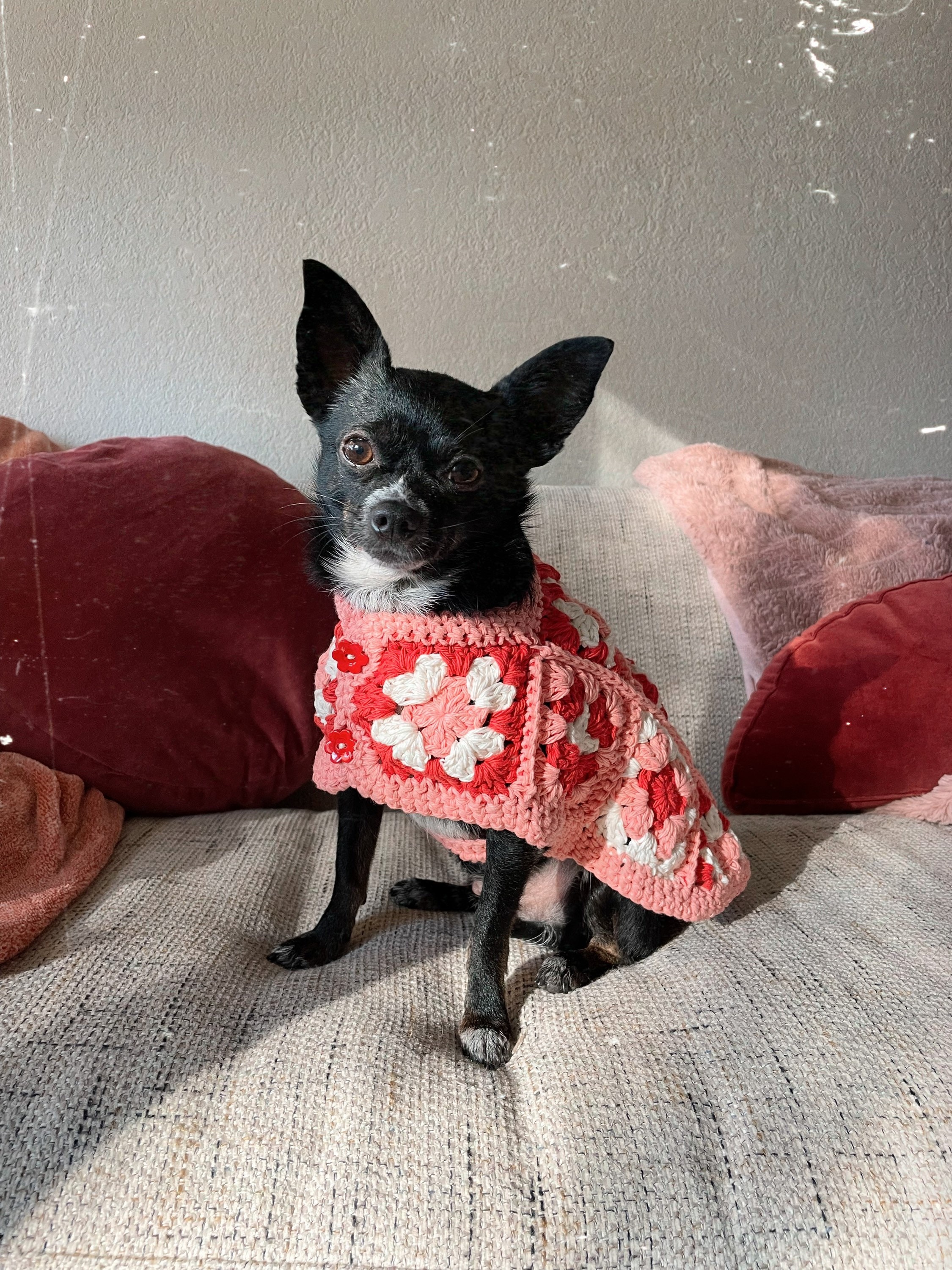 Handmade Crochet Granny Square Pet Jacket - 70s Retro Style - Etsy