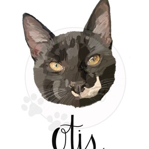 Pet Portrait