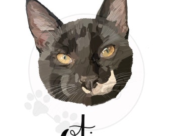 Pet Portrait