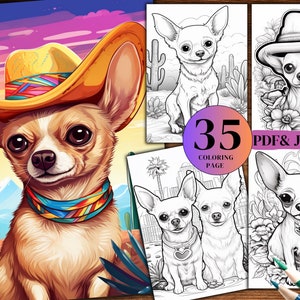 34 Chihuahua Colorful Summer Coloring Pages  Chihuahua In Flowers Coloring Pages, Digital Downloads, PDF .