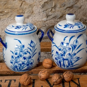 Può includere: Due barattoli di ceramica bianchi con coperchi, decorati con motivi floreali blu. Ogni barattolo ha un paio di manici blu e un pomello blu abbinato sul coperchio. Noci sono sparse davanti ai barattoli, suggerendo un'ambientazione da cucina o sala da pranzo.
