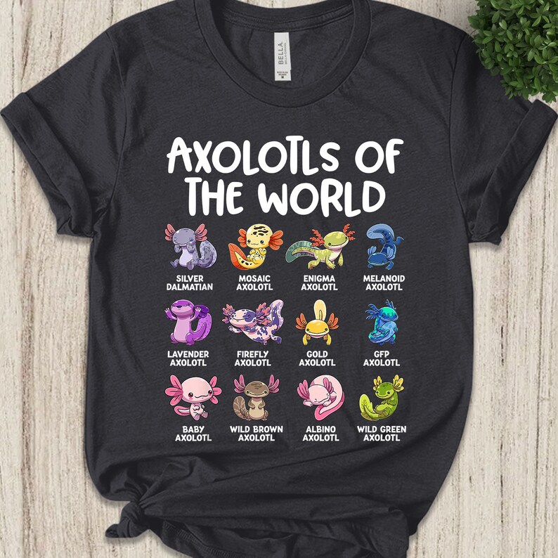thumbnail image 2 of I'm Ready To Axolotl Questions In Kindergarten Shirt, Hoodie, Sweatshirt & Apparel 2 of 10