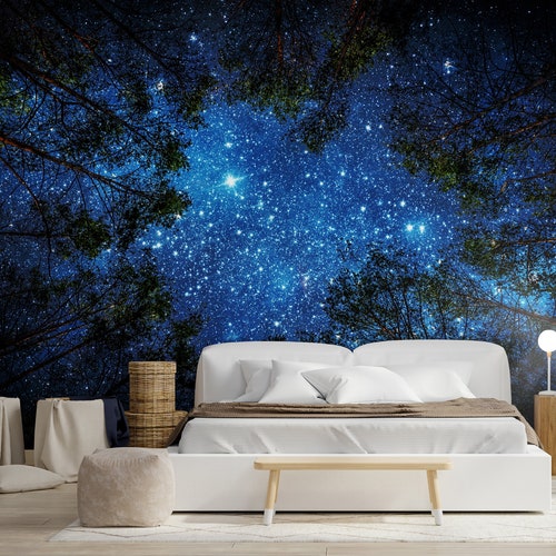 3D Blue Galaxy CC267 Ceiling Wallpaper Removable Self Adhesive Etsy