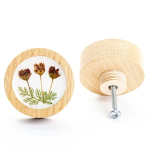 Può includere: Un pomello rotondo in legno con un inserto in resina trasparente che presenta tre fiori secchi. Il pomello è fissato a una vite in metallo.