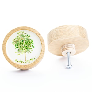 Può includere: Un pomello rotondo in legno con un inserto in resina trasparente che presenta una pianta verde pressata. Il pomello ha una vite argentata per il fissaggio a un cassetto o un armadio.