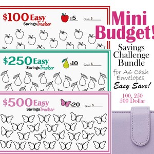 May include: A bundle of three savings tracker cards with different amounts: $100, $250, and $500. Each card features a different fruit or insect graphic, such as apples, pears, and butterflies. The cards are designed for A6 cash envelopes.