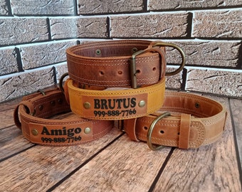 thick embroidered dog collars