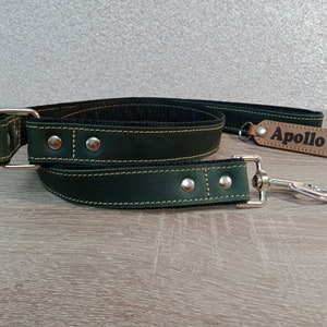 Personalized Leather dog leash, Leather dog accessories, Puppy leather leash, Leather dog leash, Dog leash