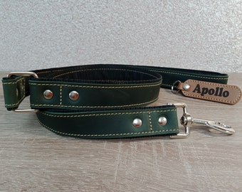 Personalized Leather dog leash, Leather dog accessories, Puppy leather leash, Leather dog leash, Dog leash