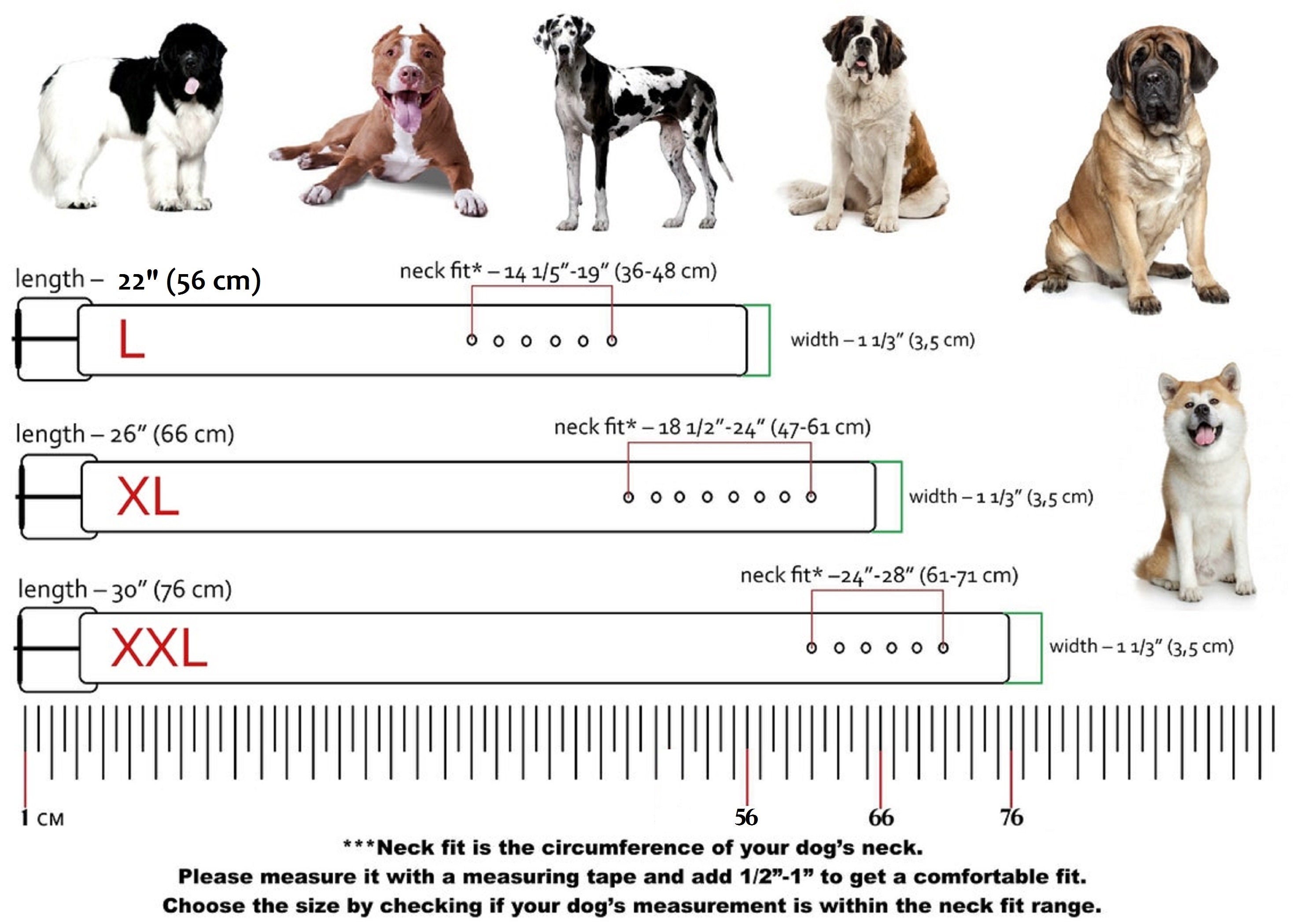 Personalized Thick Leather Dog Collar Thick Dog Collar Etsy Canada