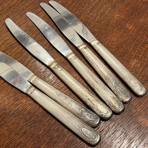 Vintage Rustic Stainless Knives Flatware Set by National Silver Company N.S. - Viceroy Plate