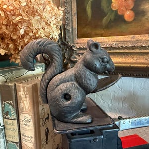 May include: A dark gray cast iron squirrel figurine with a textured surface, depicted in a seated position with a curved tail. The squirrel is positioned on a flat metal platform that is part of a mechanical scale with visible measurement markings.