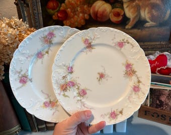 Antique Charles Field Haviland Limoges Porcelain Plate with Pink Roses - Set of 2