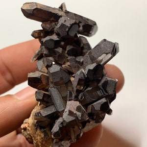 May include: A cluster of smoky quartz crystals with a dark brown to black color. The crystals are clustered together in a natural formation and have a rough, textured surface.