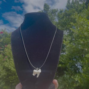Coyote Molar necklace