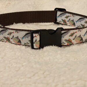 Fish collar