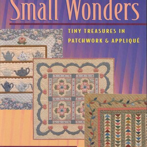 May include: Book cover for "Small Wonders: Tiny Treasures in Patchwork & Appliqué" by Elizabeth Hamby Carlson. The cover features a patchwork quilt design with a floral motif and a border of leaves.