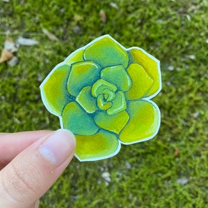 Pegatina suculenta, pegatina de plantas, pegatinas de dama de plantas, amante suculenta