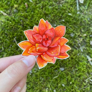 Pegatina suculenta, pegatina de plantas, pegatinas de dama de plantas, amante suculenta